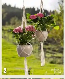 Europris Blomsterpotte tilbud