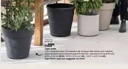 Europris Capri potte tilbud