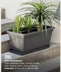 Europris Chili plantekasse tilbud