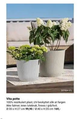 Europris Vita potte tilbud