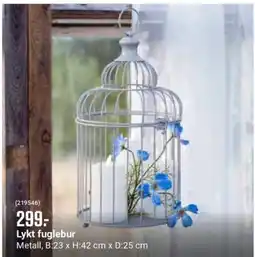 Europris Lykt fuglebur tilbud
