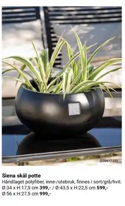 Europris Siena skål potte tilbud