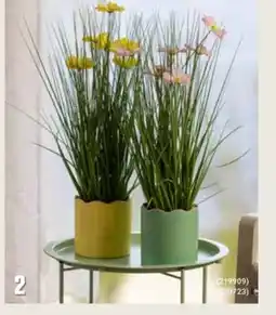 Europris Gress i potte tilbud