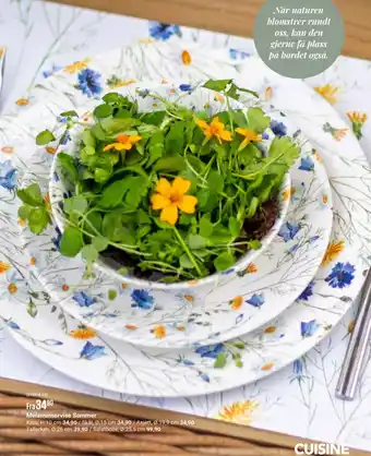 Europris Melaminservise Sommer tilbud