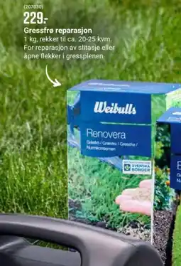 Europris Gressfrø reparasjon tilbud