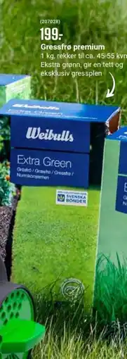 Europris Gressfrø premium tilbud