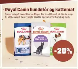 PetXL Royal Canin hundefôr og kattemat tilbud