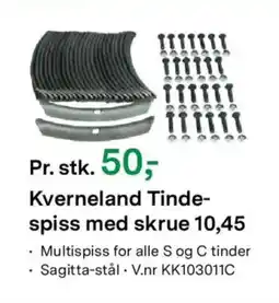 Felleskjøpet Kverneland Tinde- spiss med skrue 10,45 tilbud