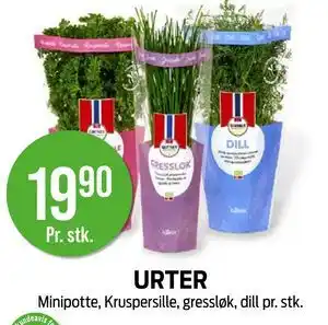 Kiwi URTER tilbud