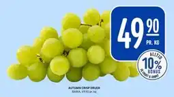 Rema 1000 AUTUMN CRISP DRUER tilbud