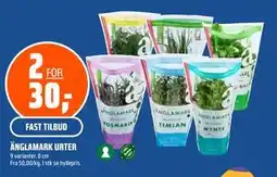 Coop Obs ÄNGLAMARK URTER tilbud