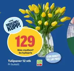 Coop Obs Tulipaner 12 stk, Medlemspris tilbud