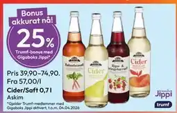 Gigaboks Cider/Saft 0,7 l tilbud