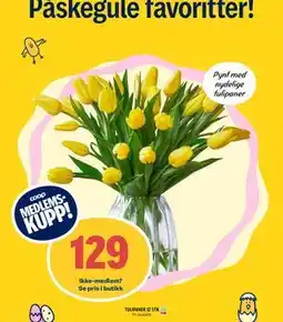 Coop Prix TULIPANER 12 STK, Medlemspris tilbud