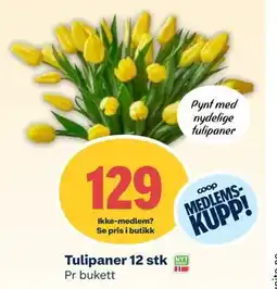 Coop Mega Tulipaner 12 stk, Medlemspris tilbud