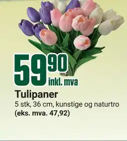 Europris Tulipaner tilbud