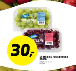 Bunnpris Grønne og røde druer i beger tilbud