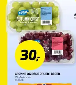 Bunnpris Grønne og røde druer i beger tilbud