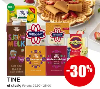 Spar Tine tilbud
