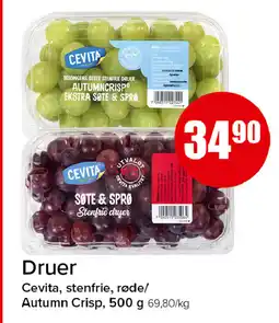 Spar Druer cevita, stenfrie, røde/ autumn crisp tilbud