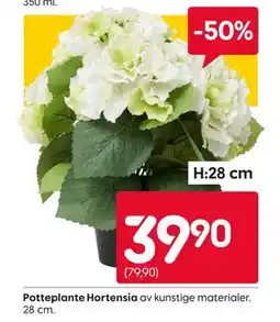 Rusta Potteplante Hortensia tilbud