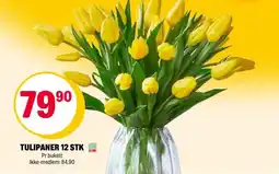 Coop Extra Tulipaner 12 stk tilbud