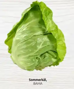 Joker Sommerkål tilbud