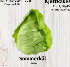 Sommerkål