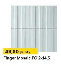 Right Price Tiles Finger Mosaic FG 2x14,5 tilbud