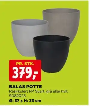 BALAS POTTE
