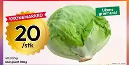 Gigaboks Isbergsalat 500 g tilbud