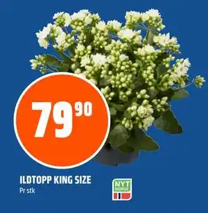 Coop Obs ILDTOPP KING SIZE tilbud