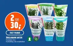 Coop Obs ÄNGLAMARK URTER tilbud