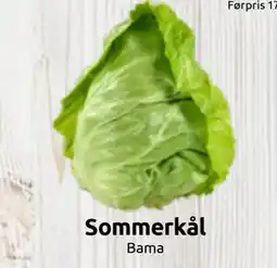 Joker Sommerkål tilbud