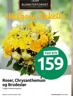 Joker Roser, Chrysanthemum og Brudeslør tilbud