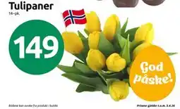 Joker Tulipaner tilbud