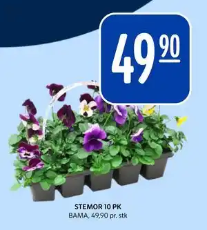 Rema 1000 STEMOR 10 PK tilbud