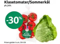 Joker Klasetomater/Sommerkål tilbud
