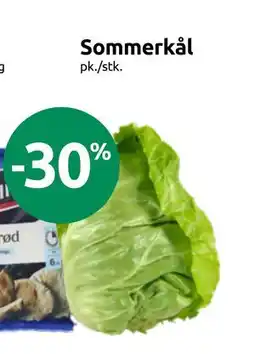 Joker Sommerkål tilbud