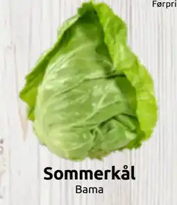 Joker Sommerkål tilbud