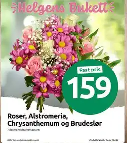 Joker Roser, Alstromeria, Chrysanthemum og Brudeslør tilbud