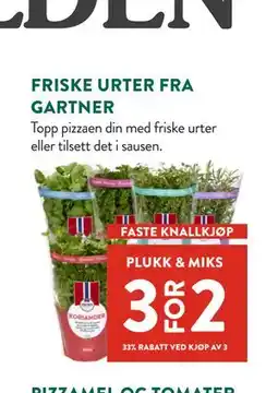 Jacobs FRISKE URTER FRA GARTNER tilbud