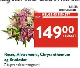 Jacobs Roser, Alstromeria, Chrysanthemum og Brudeslør tilbud