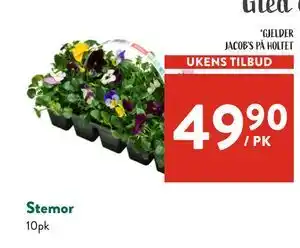 Jacobs Stemor tilbud