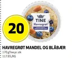 Bunnpris TINE Havregrøt Mandel og Blåbær tilbud