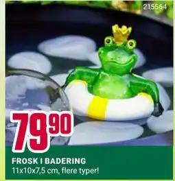 Europris FROSK I BADERING tilbud