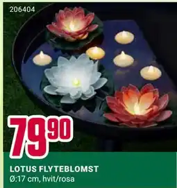 Europris LOTUS FLYTEBLOMST tilbud