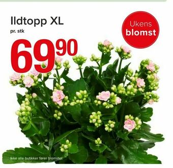 Spar Ildtopp XL tilbud