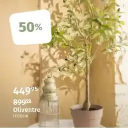 Nille Oliventre tilbud