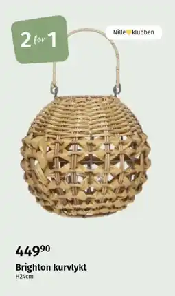 Nille Brighton kurvlykt tilbud